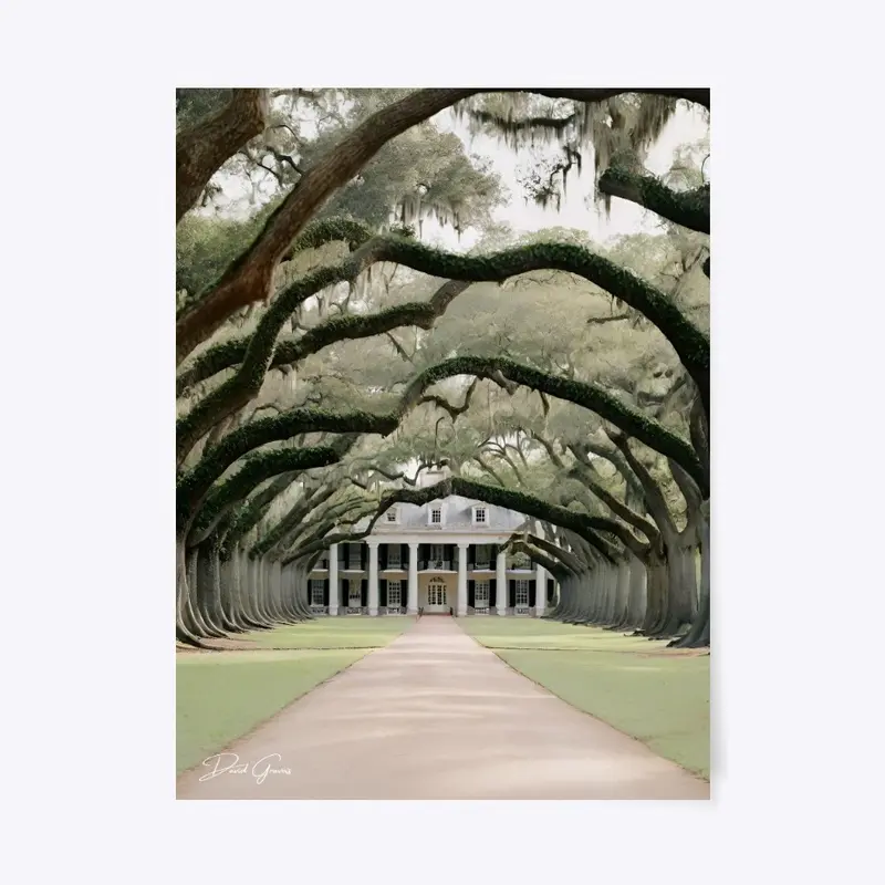 Enchanted Oak Alley